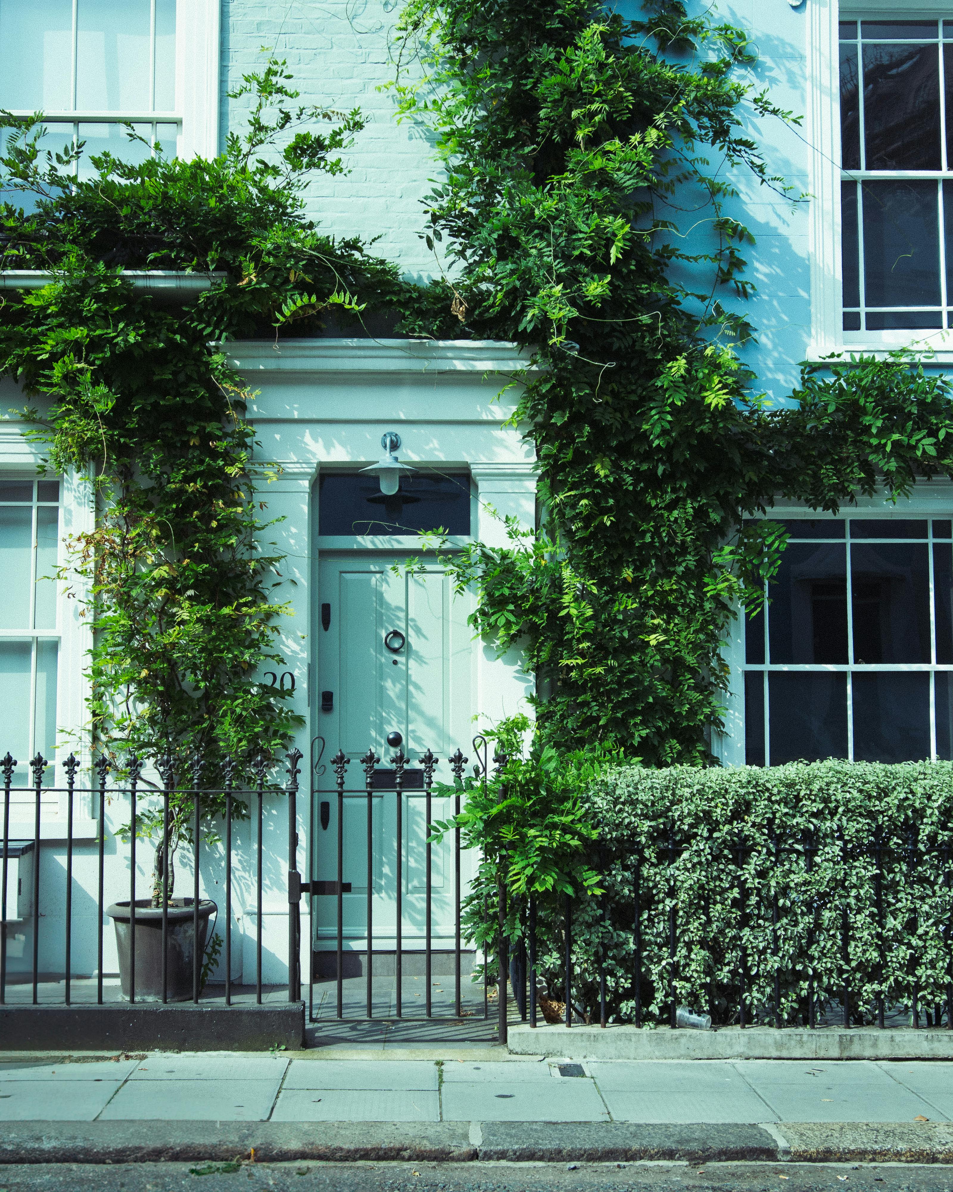 Charming house with ivy